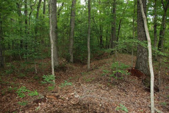 Trench at Wilderness Battlefield